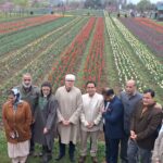 Chief Minister Omar Abdullah Opens Tulip Garden for Visitors in Srinagar